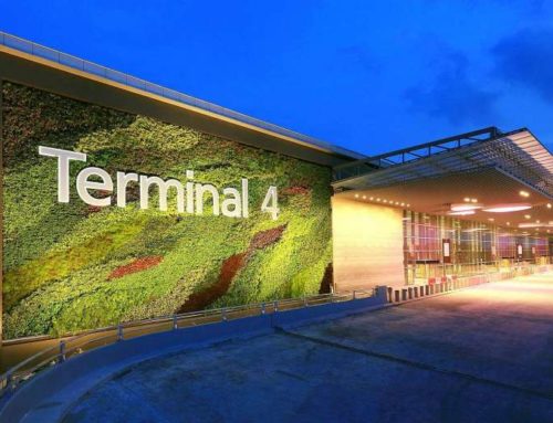 Discover the exciting new Changi Airport Terminal 4
