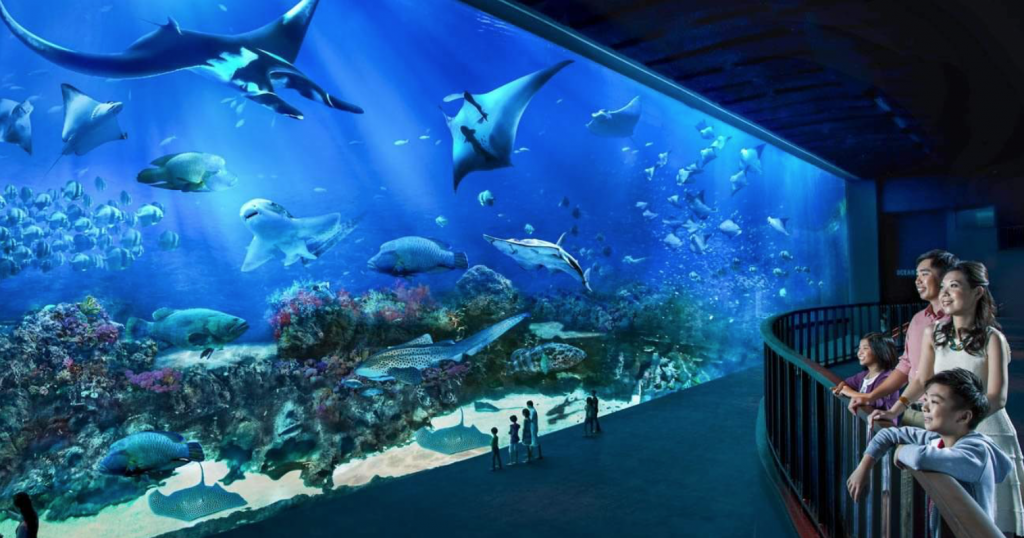 S.E.A Aquarium Sentosa