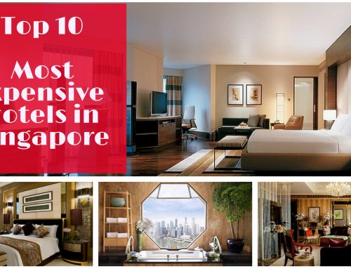 Top 10 Most Expensive Hotels in Singapore