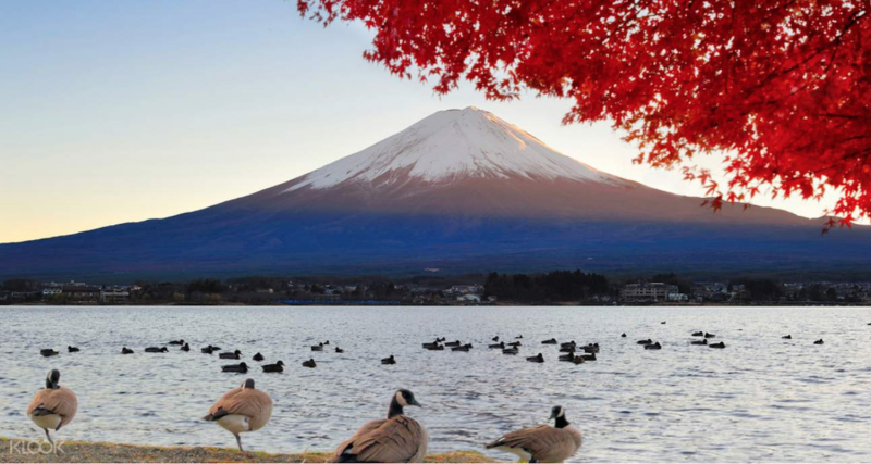 Mount Fuji Classic Route Day Tour from Tokyo