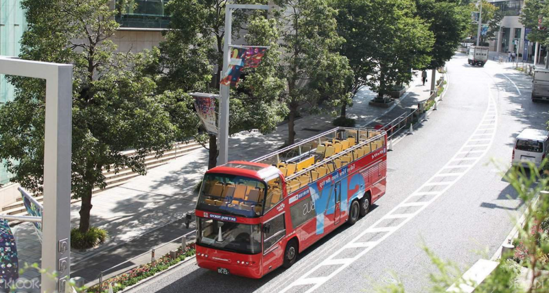 Sky Hop-on and Hop-off Bus Pass