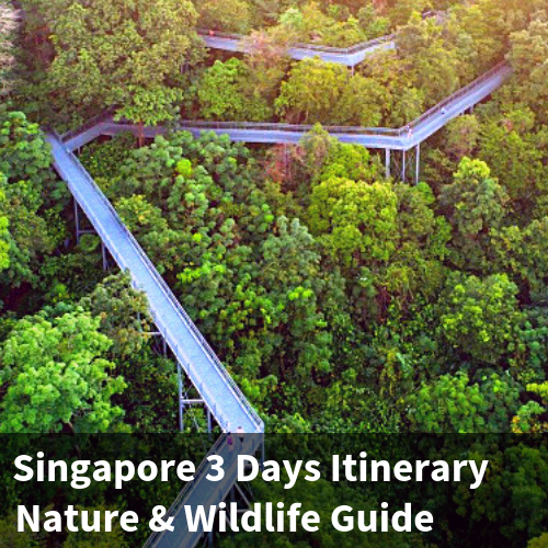 Singapore 3 Days Itinerary - Nature & Wildlife Guide