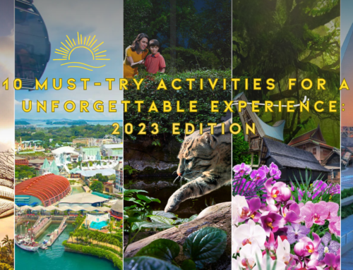 Singapore 10 Must-Try Activities for an Unforgettable Experience (2023)